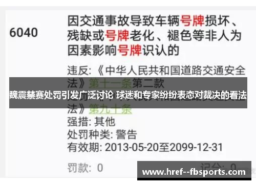 魏震禁赛处罚引发广泛讨论 球迷和专家纷纷表态对裁决的看法 魏震禁赛处罚引发广泛讨论 球迷和专家纷纷表态对裁决的看法