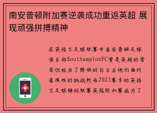 南安普顿附加赛逆袭成功重返英超 展现顽强拼搏精神